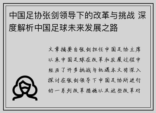 中国足协张剑领导下的改革与挑战 深度解析中国足球未来发展之路